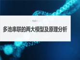 2024年高考化学一轮复习课件（鲁科版）第6章 第39讲　多池、多室的电化学装置