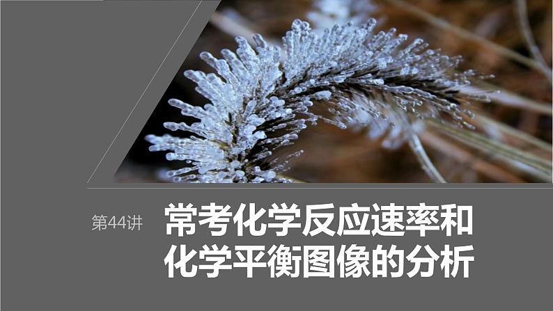 第7章 第44讲　常考化学反应速率和化学平衡图像的分析第1页