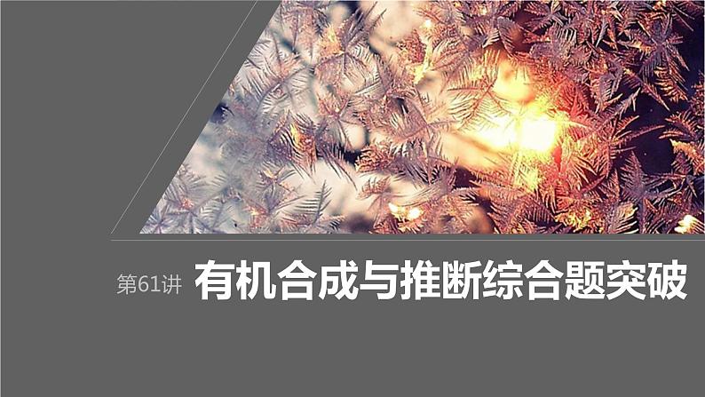 2024年高考化学一轮复习课件（鲁科版）第9章 第61讲　有机合成与推断综合题突破01