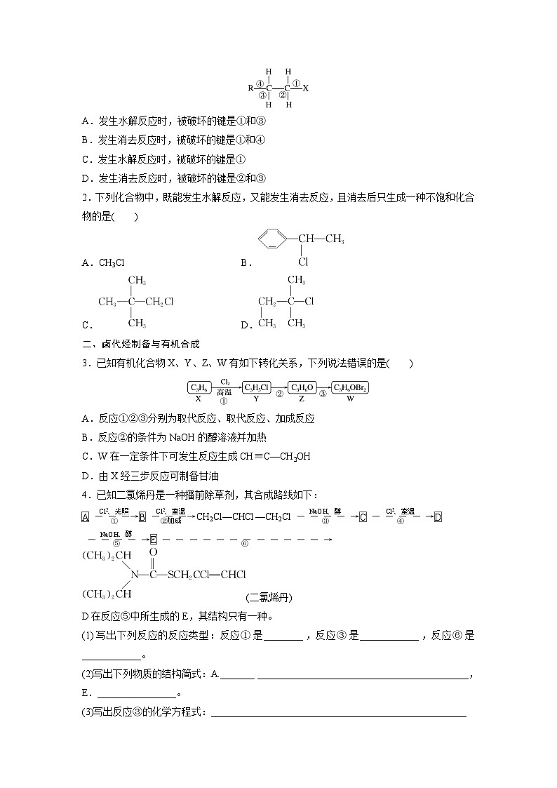 2024年高考化学一轮复习课件（鲁科版）第9章 第57讲　卤代烃　醇　酚03