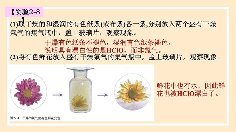 2.2.2 氯水成分的探究 2023-2024学年高一化学同步精品课件（人教版2019）第8页