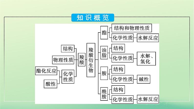 浙江专版2023_2024学年新教材高中化学第3章烃的衍生物第4节羧酸羧酸衍生物第1课时羧酸酯课件新人教版选择性必修305