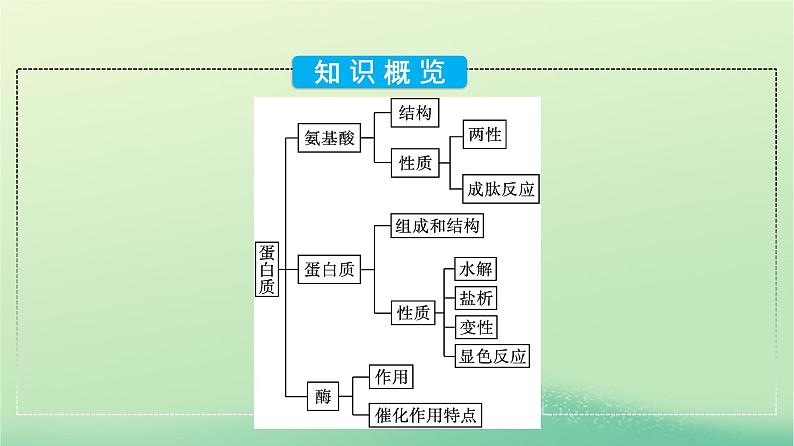 浙江专版2023_2024学年新教材高中化学第4章生物大分子第2节蛋白质课件新人教版选择性必修305