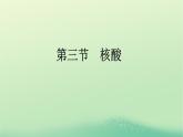 浙江专版2023_2024学年新教材高中化学第4章生物大分子第3节核酸课件新人教版选择性必修3