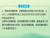 浙江专版2023_2024学年新教材高中化学第4章生物大分子第3节核酸课件新人教版选择性必修3