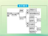 浙江专版2023_2024学年新教材高中化学第4章生物大分子第3节核酸课件新人教版选择性必修3