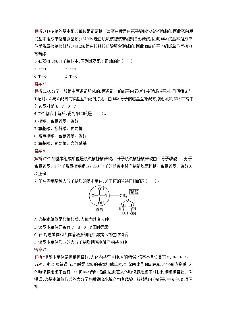 浙江专版2023_2024学年新教材高中化学第4章生物大分子第3节核酸训练提升新人教版选择性必修302