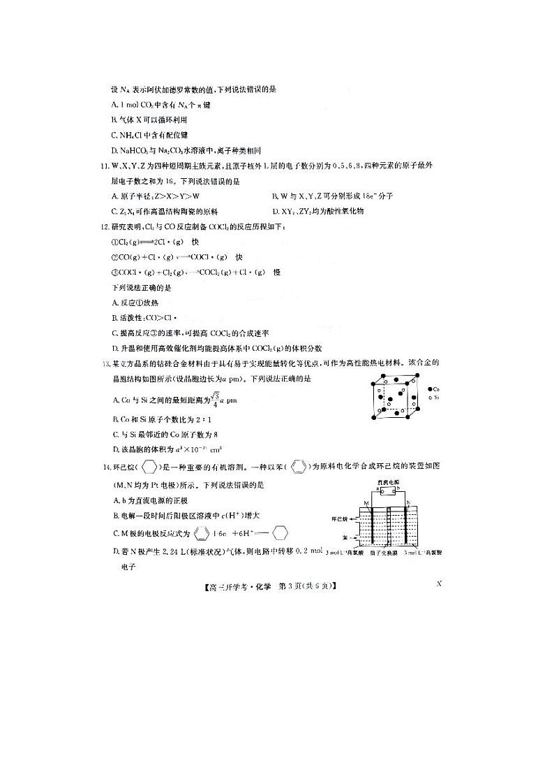 河南省2024届高三上学期开学教学质量检测化学试题第3页