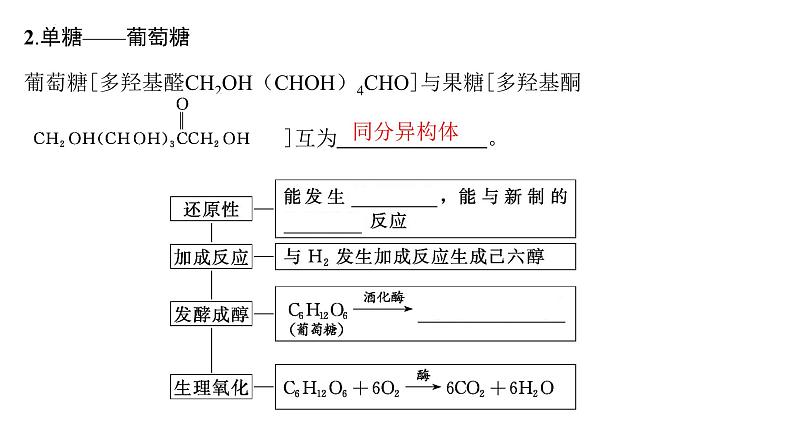 2024届高三化学一轮复习：生物大分子　合成高分子课件05