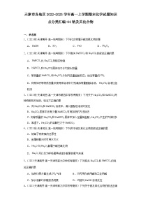 天津市各地区2022-2023学年高一上学期期末化学试题知识点分类汇编-04钠及其化合物