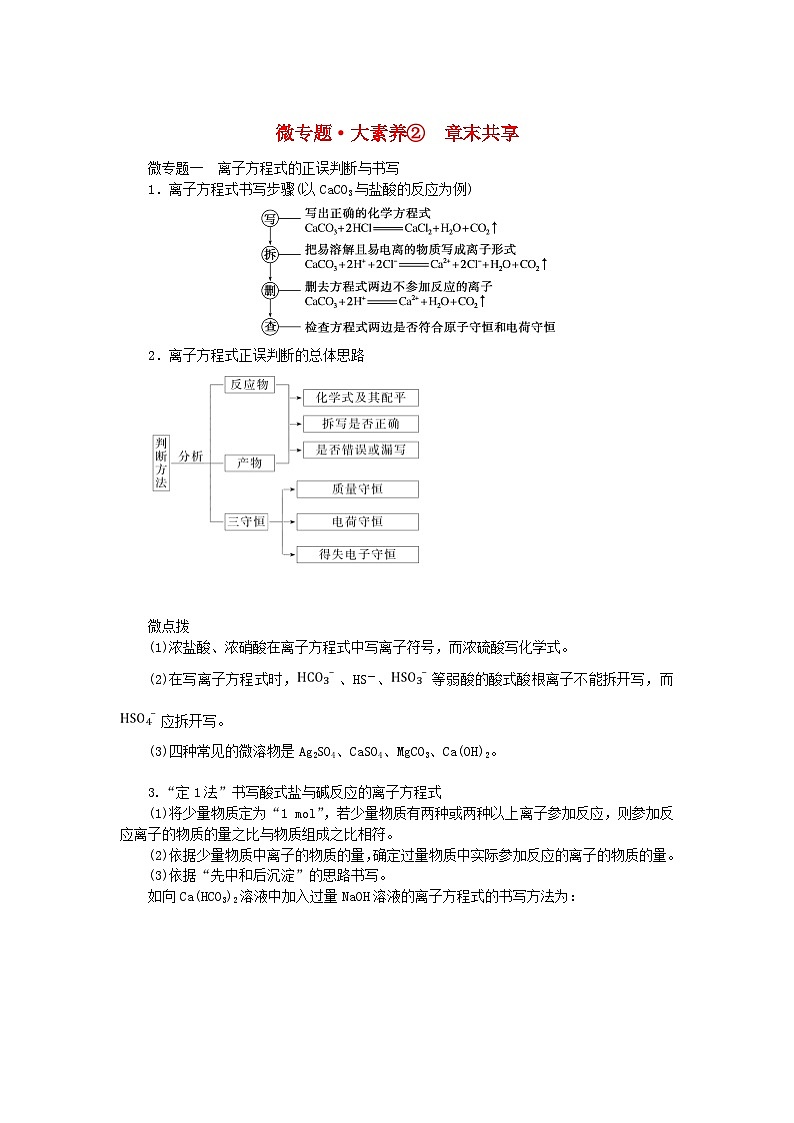 2023_2024学年新教材高中化学微专题大素养2第2章元素与物质世界学生用书鲁科版必修第一册第1页