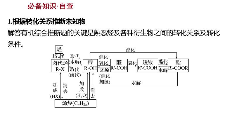 2022-2023 高考化学 专题辅导  题型突破(五)　有机化学综合题课件PPT第3页