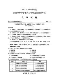 2024届武汉市高三九月调研考试 化学试卷