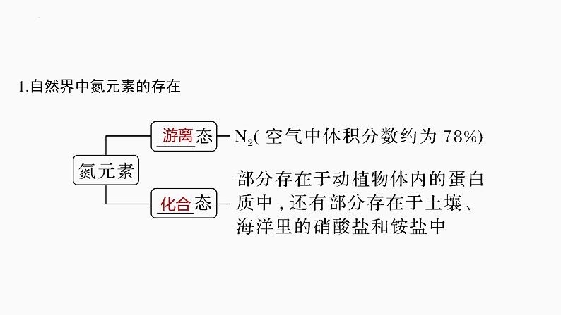 2024届高三化学高考备考一轮复习专题：氮及其氧化物、氢化物　铵盐课件第3页