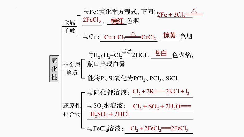 2024届高三化学高考备考一轮复习专题：氯及其化合物课件第5页