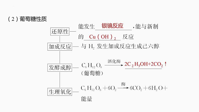 2024届高三化学高考备考一轮复习专题：生物大分子　合成高分子课件第6页