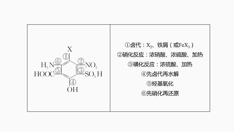 2024届高三化学高考备考一轮复习专题：有机合成与推断课件第8页