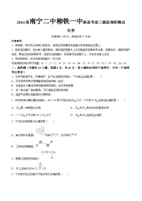 广西南宁二中、柳铁一中2024届高三上学期9月模拟调研测试化学试题