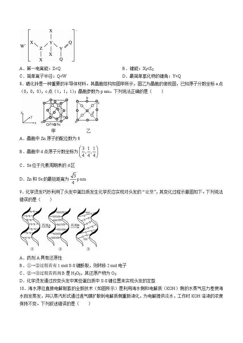 湖北宜荆荆恩2023-2024学年高三上学期9月联考化学试题第3页