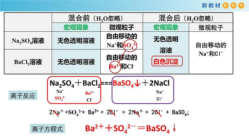 高一化学同步教学课堂 人教版2019必修第一册 1.2.2 离子反应及其表示法课件PPT06