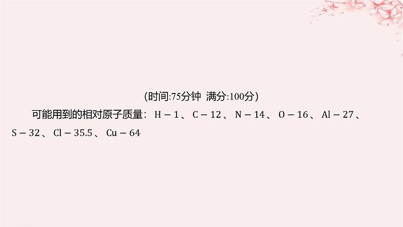 江苏专用2023_2024学年新教材高中化学专题1物质的分类及计量测评课件苏教版必修第一册02