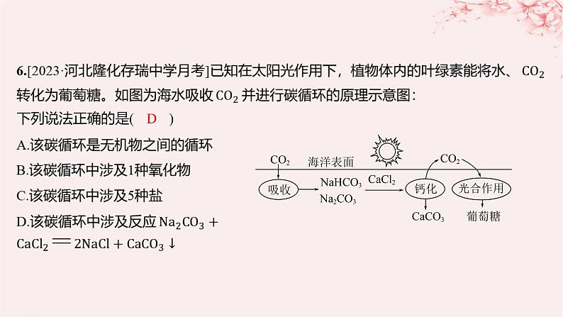 江苏专用2023_2024学年新教材高中化学专题1物质的分类及计量测评课件苏教版必修第一册08