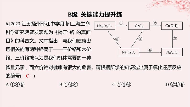 江苏专用2023_2024学年新教材高中化学专题1物质的分类及计量第一单元物质及其反应的分类第二课时化学反应的分类分层作业课件苏教版必修第一册07