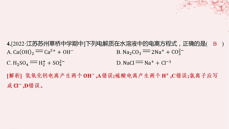 江苏专用2023_2024学年新教材高中化学专题1物质的分类及计量第三单元物质的分散系第二课时电解质溶液分层作业课件苏教版必修第一册04