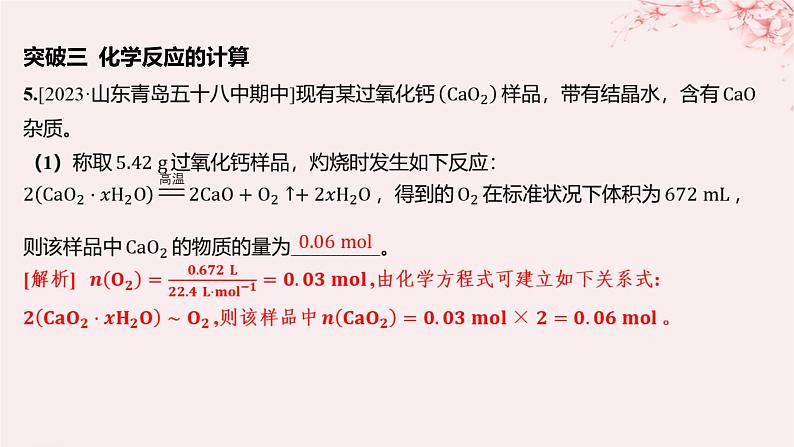 江苏专用2023_2024学年新教材高中化学专题2研究物质的基本方法分层作业课件苏教版必修第一册05