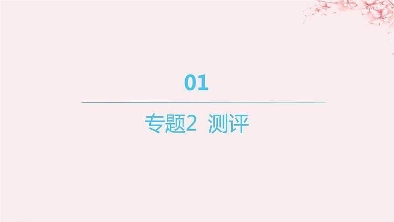 江苏专用2023_2024学年新教材高中化学专题2研究物质的基本方法测评课件苏教版必修第一册01
