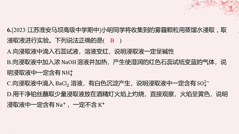 江苏专用2023_2024学年新教材高中化学专题2研究物质的基本方法测评课件苏教版必修第一册08