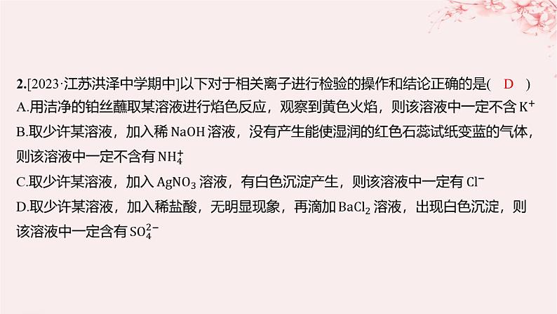 江苏专用2023_2024学年新教材高中化学专题2研究物质的基本方法第一单元研究物质的实验方法第三课时物质的检验物质性质和变化的探究分层作业课件苏教版必修第一册02