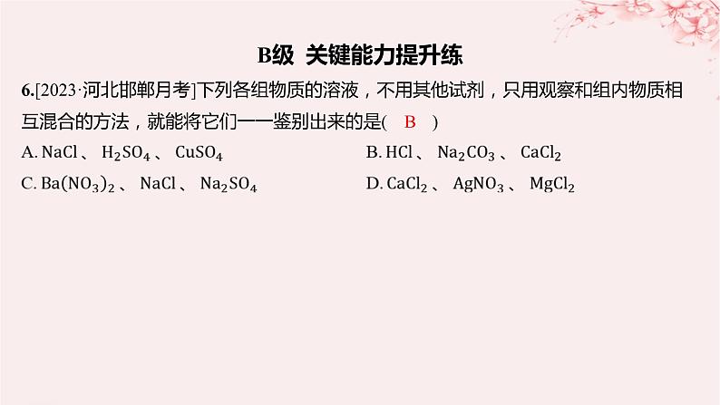 江苏专用2023_2024学年新教材高中化学专题2研究物质的基本方法第一单元研究物质的实验方法第三课时物质的检验物质性质和变化的探究分层作业课件苏教版必修第一册07