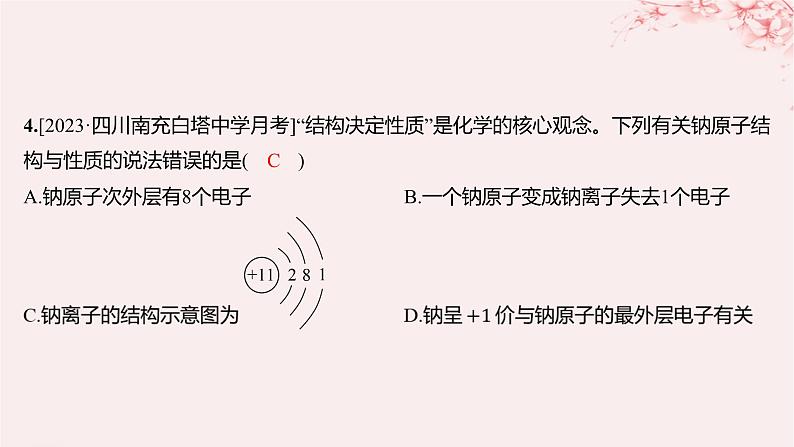 江苏专用2023_2024学年新教材高中化学专题2研究物质的基本方法第三单元人类对原子结构的认识第二课时原子核外电子排布分层作业课件苏教版必修第一册04