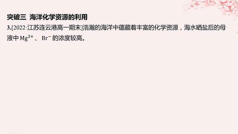 江苏专用2023_2024学年新教材高中化学专题3从海水中获得的化学物质分层作业课件苏教版必修第一册06