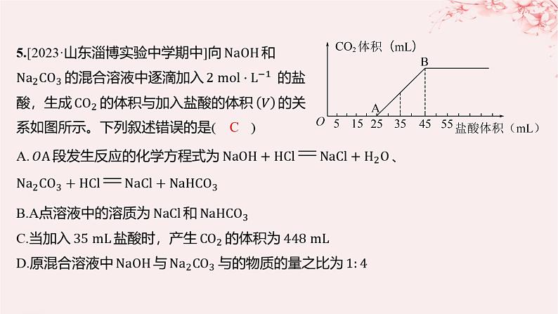 江苏专用2023_2024学年新教材高中化学专题3从海水中获得的化学物质微专题3碳酸钠和碳酸氢钠的除杂和相关计算分层作业课件苏教版必修第一册06