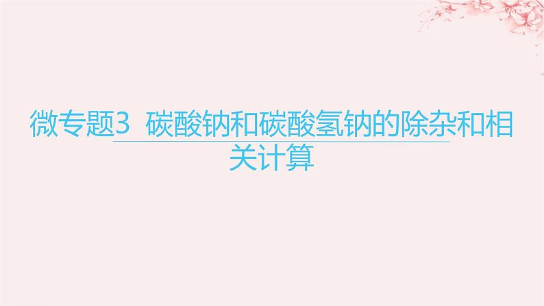 江苏专用2023_2024学年新教材高中化学专题3从海水中获得的化学物质微专题3碳酸钠和碳酸氢钠的除杂和相关计算课件苏教版必修第一册01