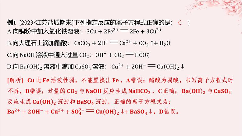 江苏专用2023_2024学年新教材高中化学专题3从海水中获得的化学物质微专题4离子反应的热点题型课件苏教版必修第一册04