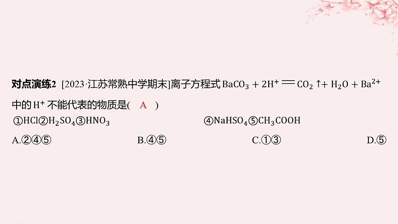 江苏专用2023_2024学年新教材高中化学专题3从海水中获得的化学物质微专题4离子反应的热点题型课件苏教版必修第一册06