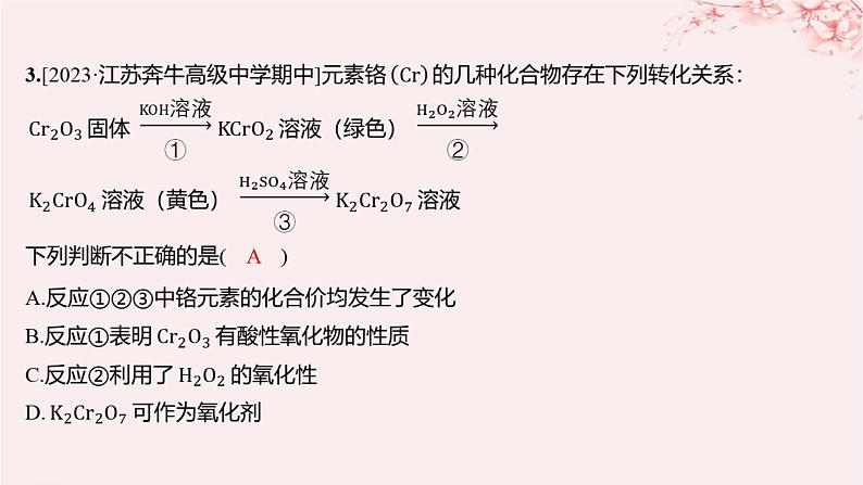 江苏专用2023_2024学年新教材高中化学专题3从海水中获得的化学物质第一单元氯气及氯的化合物第四课时氧化性和还原性分层作业课件苏教版必修第一册03