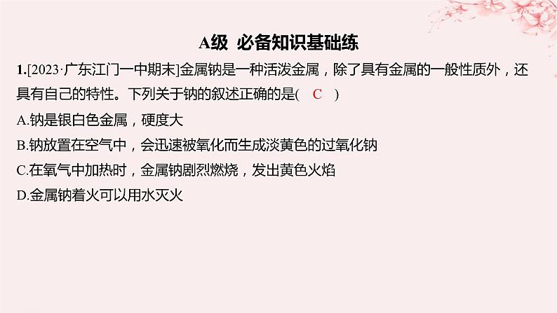 江苏专用2023_2024学年新教材高中化学专题3从海水中获得的化学物质第二单元金属钠及钠的化合物第一课时钠的性质与制备分层作业课件苏教版必修第一册01