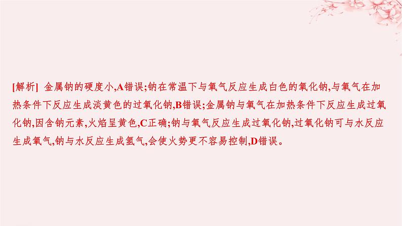 江苏专用2023_2024学年新教材高中化学专题3从海水中获得的化学物质第二单元金属钠及钠的化合物第一课时钠的性质与制备分层作业课件苏教版必修第一册02