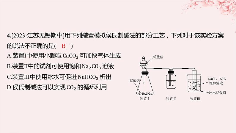 江苏专用2023_2024学年新教材高中化学专题3从海水中获得的化学物质第二单元金属钠及钠的化合物第二课时碳酸钠碳酸氢钠分层作业课件苏教版必修第一册06