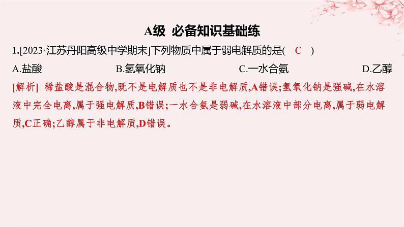 江苏专用2023_2024学年新教材高中化学专题3从海水中获得的化学物质第二单元金属钠及钠的化合物第三课时离子反应分层作业课件苏教版必修第一册01