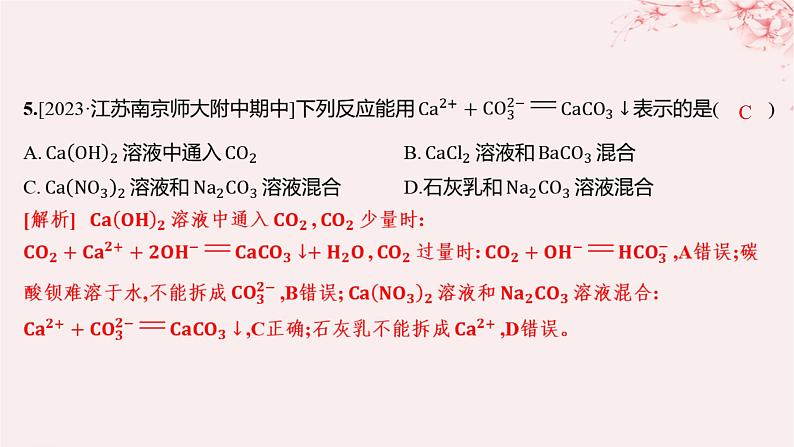 江苏专用2023_2024学年新教材高中化学专题3从海水中获得的化学物质第二单元金属钠及钠的化合物第三课时离子反应分层作业课件苏教版必修第一册06