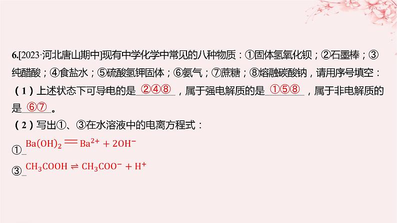 江苏专用2023_2024学年新教材高中化学专题3从海水中获得的化学物质第二单元金属钠及钠的化合物第三课时离子反应分层作业课件苏教版必修第一册07