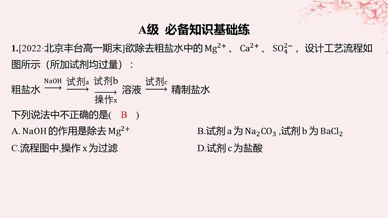 江苏专用2023_2024学年新教材高中化学专题3从海水中获得的化学物质第三单元海洋化学资源的综合利用第一课时粗盐提纯从海水中提取溴分层作业课件苏教版必修第一册01