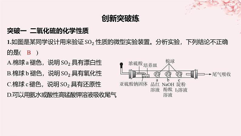 江苏专用2023_2024学年新教材高中化学专题4硫与环境保护分层作业课件苏教版必修第一册01