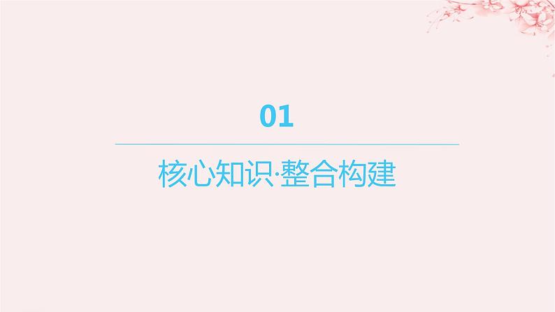 江苏专用2023_2024学年新教材高中化学专题1物质的分类及计量整合课件苏教版必修第一册03