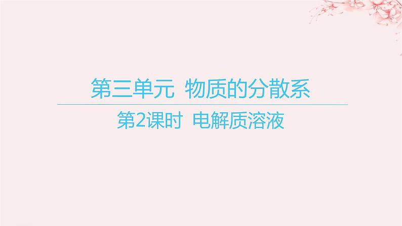 江苏专用2023_2024学年新教材高中化学专题1物质的分类及计量第三单元物质的分散系第二课时电解质溶液课件苏教版必修第一册01